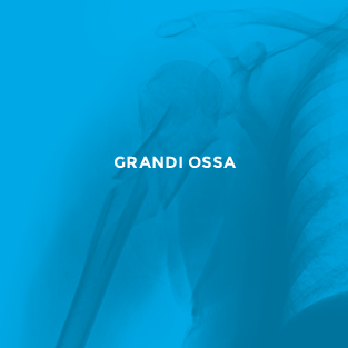 Grandi Ossa